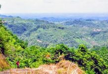 Selamatkan Pegunungan Meratus. HST Lawan Aktivitas Penambangan