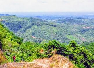 Selamatkan Pegunungan Meratus. HST Lawan Aktivitas Penambangan