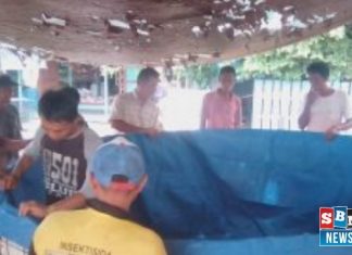 Dari pembuat klotok hingga ke kolam Patin