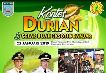 Kontes Durian Kabupaten Banjar 2019
