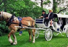 Raja Kediri Jayabaya Telah Meramalkan, Kelak Kereta Akan Berjalan Tanpa Kuda.