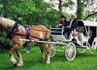 Raja Kediri Jayabaya Telah Meramalkan, Kelak Kereta Akan Berjalan Tanpa Kuda.