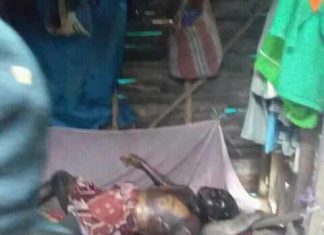 Seorang Petani Ditemukan Meninggal, di Pondok Ditengah Sawah Dengan Kondisi Membusuk