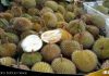 Banjir Durian Kasongan tenggelamkan Durian Karang Intan