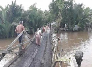 Akibat Kuatnya Arus Sungai, Dua Jembatan di Tabunganen Ambruk dan Miring