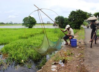 Dinas Perikanan Kabupaten Banjar Masih Melarang Penangkapan Anak Ikan Secara Massal