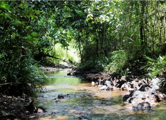 Saatnya Berlibur Di Obyek Wisata Alam Unggulan Kalsel, Mandiangin