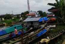 Ini Kata Dishub Soal Jumlah Klotok Di Haul Guru Sekumpul Ke 14