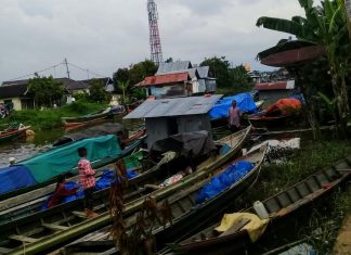 Ini Kata Dishub Soal Jumlah Klotok Di Haul Guru Sekumpul Ke 14