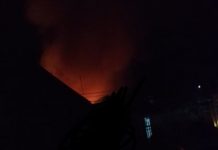 Eks pasar burung dilalap si jago merah