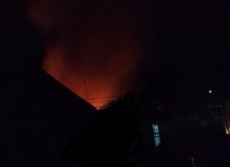 Eks pasar burung dilalap si jago merah