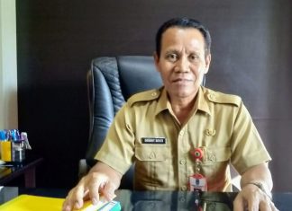 Dondit : Matinya Ratusan Anak Itik, Akibat Terserang Tetelo.