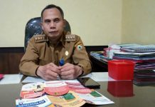 Dinkes Kalsel sosialisasikan gerakan masyarakat cerdas menggunakan obat di Barabai dan Balangan