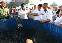 Budidaya ikan lele, janjikan keuntungan santri Darussalam Martapura