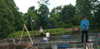 Dinas Perikanan dan Kelautan Banjar, tunggu hasil laboratorium, terkait matinya ribuan ekor ikan Nila di Awang Bangkal