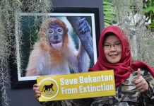 Amalia Rezeki – stop perdagangan Primata Indonesia,