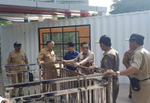 Hijaukan Banjarmasin dengan membudayakan menanam pepohonan