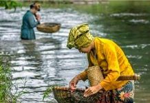 Perlu adanya Perda larangan penangkapan anakan ikan secara komprehensif