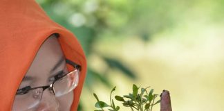 Perangi darurat iklim – Amalia Rezeki komitmen tanam 10.000 pohon Rambai