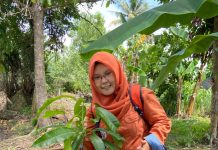 Zulfa Asma Fikra – Selamatkan Pohon Kasturi Maskot Flora Kalsel Yang Telah Punah Dialam Liar – Dirikan Arboretum Tumbuhan Buah Lokal Khas Lahan Basah