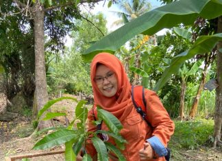 Zulfa Asma Fikra – Selamatkan Pohon Kasturi Maskot Flora Kalsel Yang Telah Punah Dialam Liar – Dirikan Arboretum Tumbuhan Buah Lokal Khas Lahan Basah