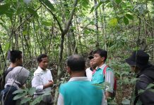Kadishut Kalsel, tinjau lokasi penanaman Rehabilitasi Hutan dan Lahan Padang Batung HSS
