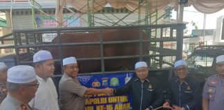 Kapolri dan Kapolda Kalsel sumbang 2 Ekor Sapi Limousin untuk acara haulan Guru Sekumpul