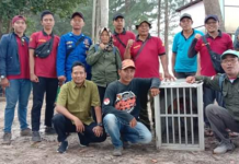 Tim gabungan KPH Tanah Laut dan BKSDA Kalimantan Selatan, berhasil evakuasi si Hidung Mancung