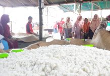 Jelang puncak acara haulan Guru Sekumpul Minggu Malam, Seluruh petugas relawan di 175 buah dapur umum siap bergotong royong layani jemaah haulan
