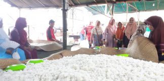 Jelang puncak acara haulan Guru Sekumpul Minggu Malam, Seluruh petugas relawan di 175 buah dapur umum siap bergotong royong layani jemaah haulan