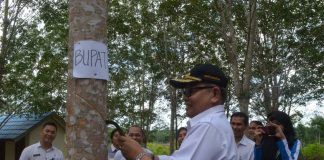 Bupati H Ansahruddin bangga pelajar mampu kembangkan lahan karet dan produktif