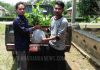 Warga Desa Bluru Batu Ampar, sumbang ratusan bibit tanaman ke BPTH, diantaranya jenis langka, pohon Gaharu