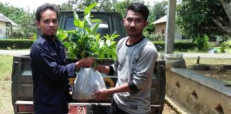 Warga Desa Bluru Batu Ampar, sumbang ratusan bibit tanaman ke BPTH, diantaranya jenis langka, pohon Gaharu
