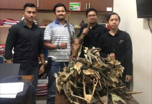 Perdagangan bagian tubuh hewan yang di lindungi berhasil di ungkap aparat di wilayah Tabalong
