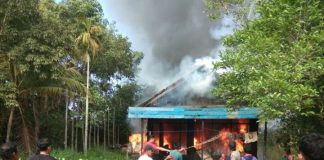 Ditinggal ke sawah, rumah Salimi warga Desa Tamban Raya Kabupaten Barito Kuala hangus terbakar