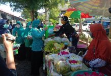 DPTPH Kabupaten Banjar bagikan paket sembako dan handsanitizer berbahan dasar bunga