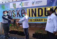 Pemprov. Kalsel, serahkan bantuan bibit lombok untuk ASN Tanah Bumbu