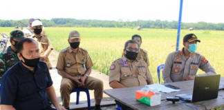 Bupati Balangan H.Ansharuddin video conference, laporkan hasil panen padi dan jagung