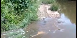 Tanggul penahan masuknya air asin di Desa Tanggul Rejo, Jebol. Warga khawatirkan, terjadinya gagal panen?