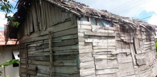 Tak layak huni, rumah nenek Sarikam, dibedah Pemerintah Desa Beringin bersama warga