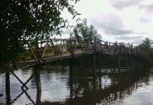 Jembatan ulin di Tanggul Rejo, kondisinya memprihatinkan dan berpotensi ambruk