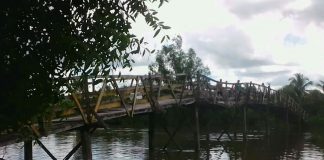 Jembatan ulin di Tanggul Rejo, kondisinya memprihatinkan dan berpotensi ambruk