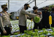 Berprofesi sebagai polisi, tak menghalangi Bripda Mustafa Adi Prabowo menyalurkan hobi bercocok tanam.