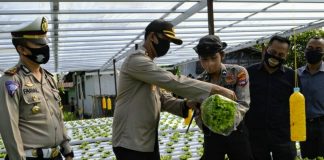 Berprofesi sebagai polisi, tak menghalangi Bripda Mustafa Adi Prabowo menyalurkan hobi bercocok tanam.