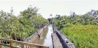 Nasib Sungai Tembingkar, drainase alam yang terkepung semak belukar dan perumahan