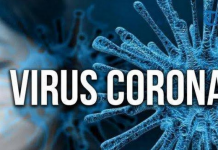 Pulang kunjungan kerja keluar daerah, sejumlah anggota dewan Banjar, tidak masuk ODP?