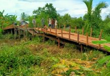Kejar target, pengerjaan jembatan ulin Desa Sungai Telan Besar dikebut