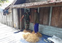 Tanpa canggung, 2 anggota satgas TMMD 108 Kodim1005/Marabahan, bantu petani “irik” banih