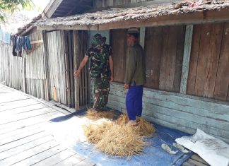 Tanpa canggung, 2 anggota satgas TMMD 108 Kodim1005/Marabahan, bantu petani “irik” banih