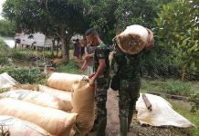 Berkah TMMD, anggota satgas angkut karung padi demi meringankan pekerjaan petani